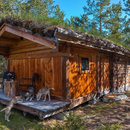 Jotunheimen Husky Lodge Randsverk Exterior foto