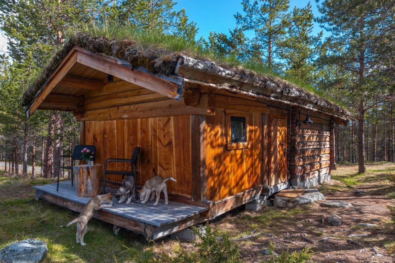 Jotunheimen Husky Lodge Randsverk Exterior foto