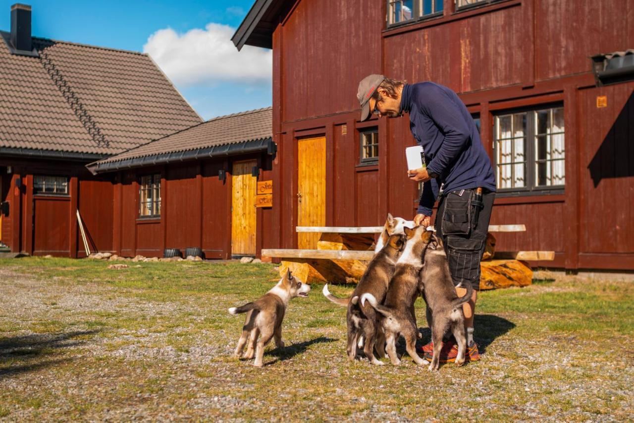 Jotunheimen Husky Lodge Randsverk Exterior foto