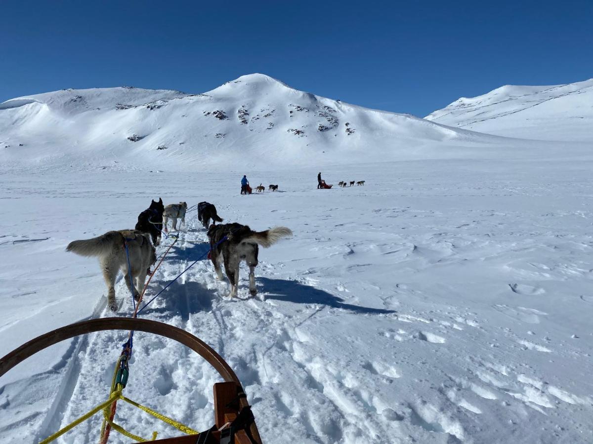 Jotunheimen Husky Lodge Randsverk Exterior foto