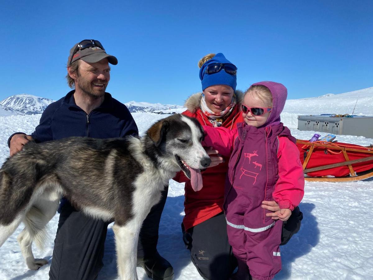 Jotunheimen Husky Lodge Randsverk Exterior foto